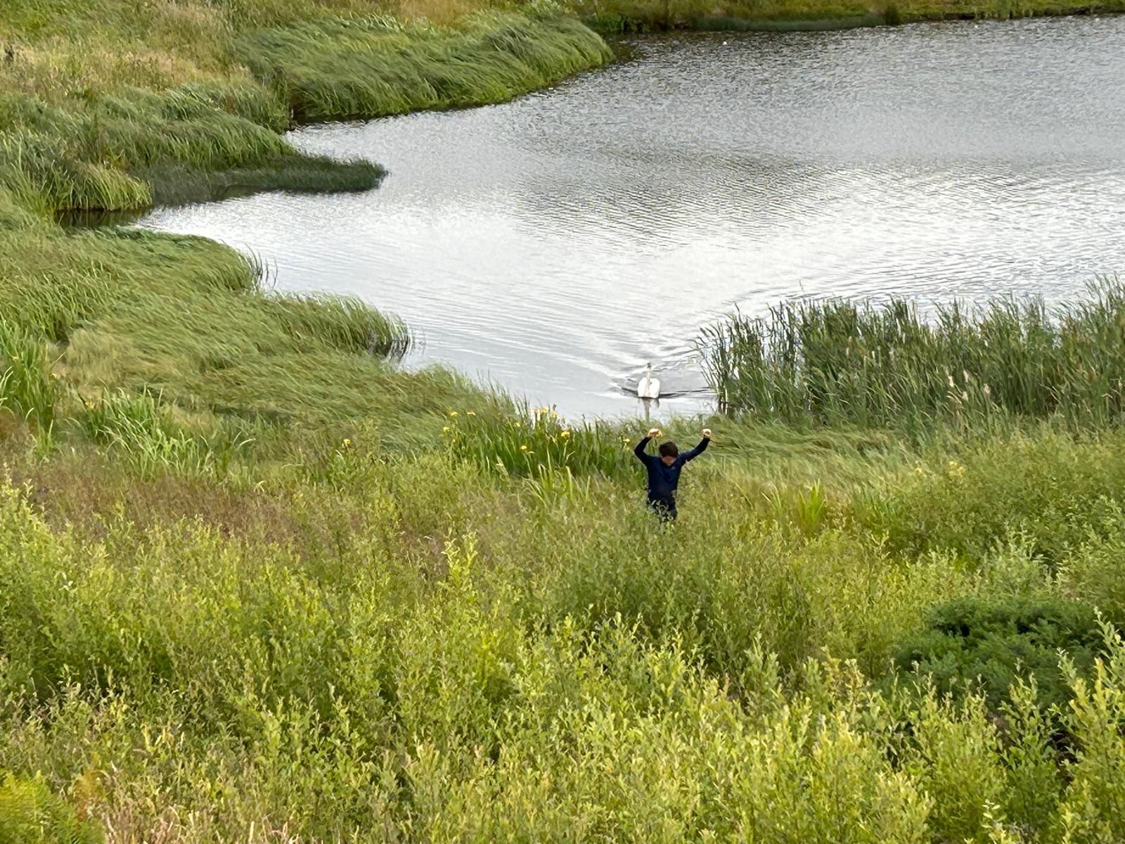 Pond on golf course